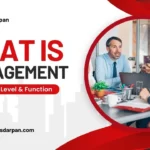 What is Management? Definition, Level & Function of management