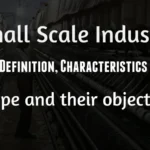 Small Scale industry : Definition, Limitation, Scope and their objectives