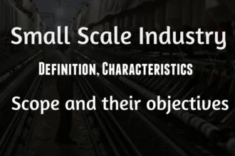 Small Scale industry : Definition, Limitation, Scope and their objectives