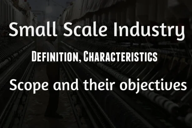 Small Scale industry : Definition, Limitation, Scope and their objectives
