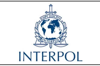 INTERPOL’s Silver Notice: What and Why? INTERPOL’s Silver Notice: What and Why?