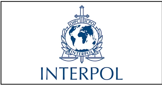 INTERPOL’s Silver Notice: What and Why? INTERPOL’s Silver Notice: What and Why?