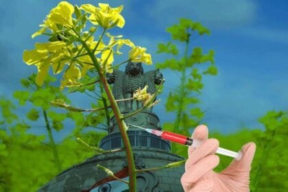 New Rules for Genetic Engineering Appraisal Committee (GEAC)